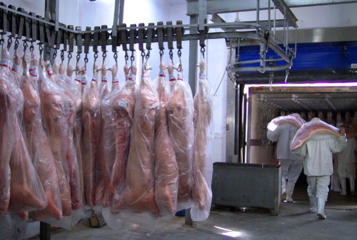 Santa Catarina Registra Recorde de Exportações de Carne Suína em Janeiro de 2025