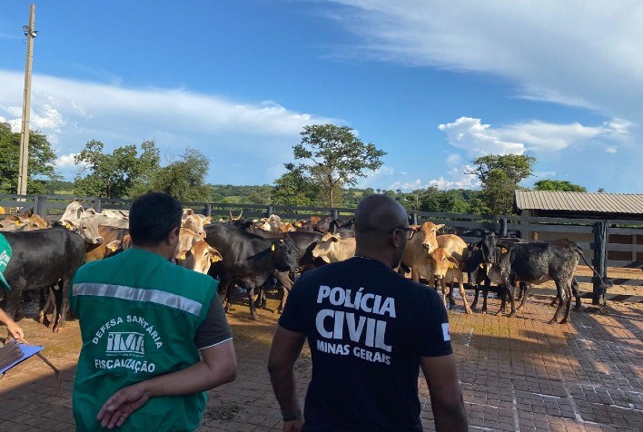 Segurança sanitária em eventos e transporte de rebanhos reforça a pecuária mineira