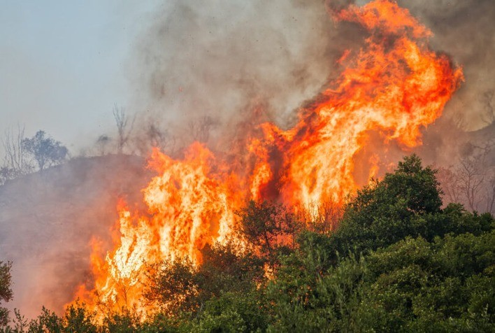 FAESP Antecipará Discussões sobre Prevenção a Incêndios no Campo em Reunião de Março