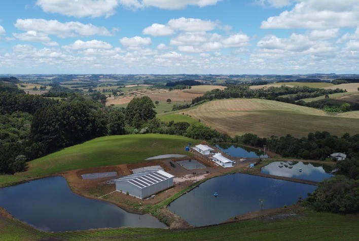 Frigorífico de Pato Branco amplia mercado de pescados com selo Susaf