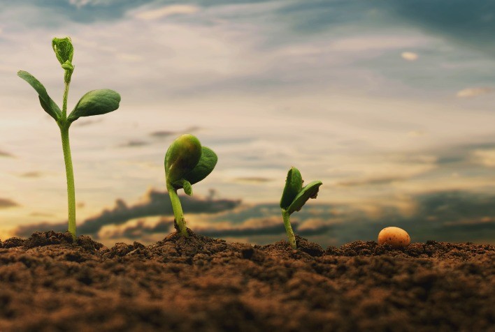 Bioinsumos: Inovação e Sustentabilidade na Agricultura