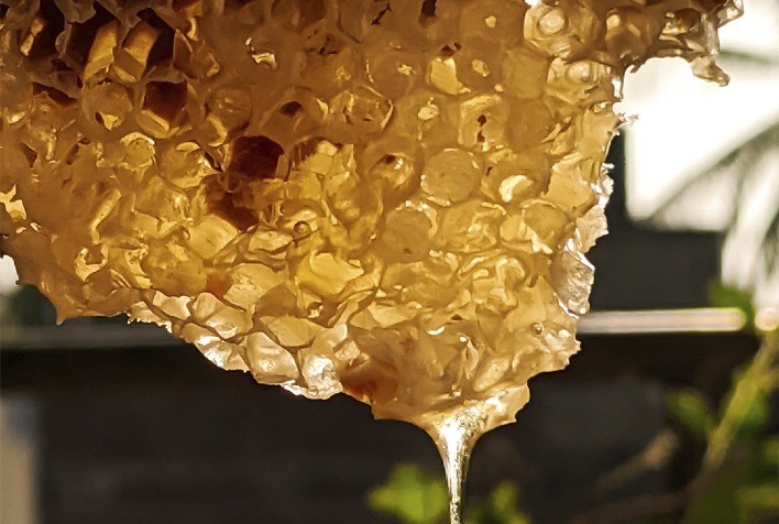 Calor intenso ameaça produção de mel no RS