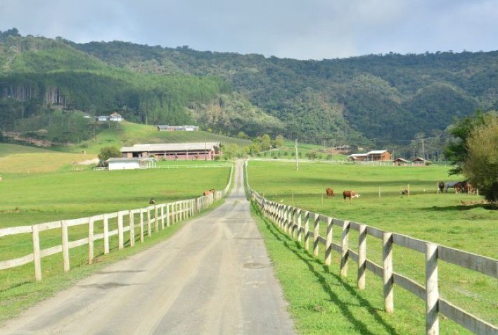 Desempenho do Agronegócio Catarinense em 2024 Será Apresentado pela Epagri