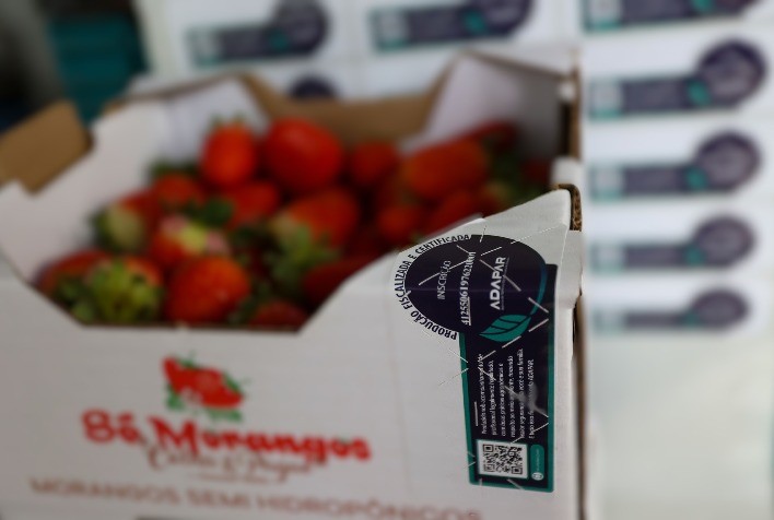 Certificação da Adapar Impulsiona Qualidade e Expansão de Mercado para Produtores