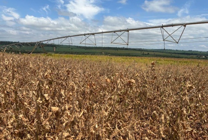 Irrigação impulsiona cultivo de soja no extremo noroeste do Paraná