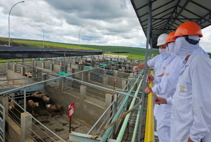 CooperAliança é reconhecida como referência nacional na Rota da Ovinocultura