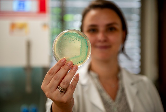 Bioma revoluciona mercado de bioinsumos com tecnologia inovadora para fixação de nitrogênio no milho