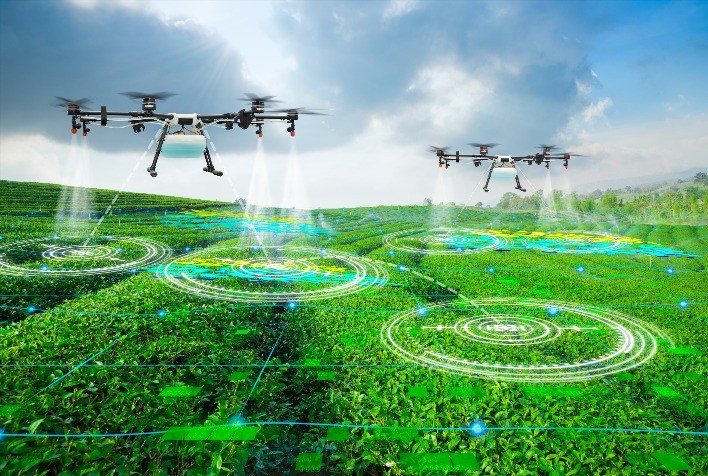 Drones com Inteligência Artificial transformam a agricultura de precisão