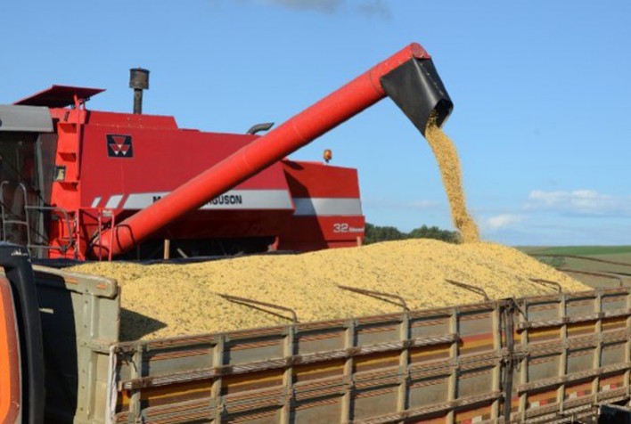 Deral reduz levemente previsão para safra de soja no Paraná e eleva estimativa do milho