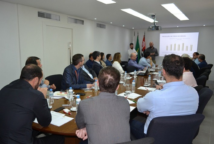 Safra paulista de trigo: perspectivas para 2025/2026 serão debatidas em evento setorial