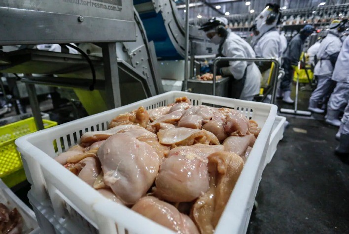 Mercado de Frango: Preços da Carne Oscilam entre Regiões em Fevereiro