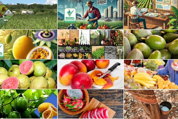 Cursos Gratuitos da Embrapa Cerrados: Aperfeiçoe Seus Conhecimentos no Setor Agropecuário