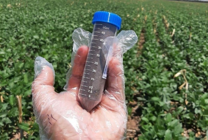 Inovação no Cerrado: Startup Desenvolve Índice de Maturidade Microbiológica para Latossolos