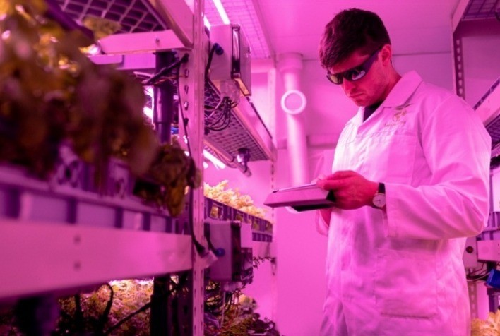 União Europeia busca tornar aprovação de biopesticidas mais rápida e eficiente