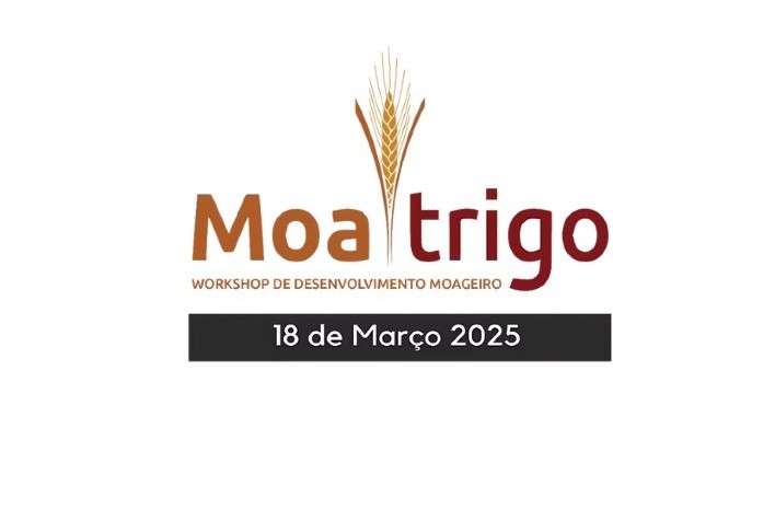 Moatrigo 2025: Encontro Debate o Futuro do Mercado, da Safra e Inovações para a Indústria Moageira