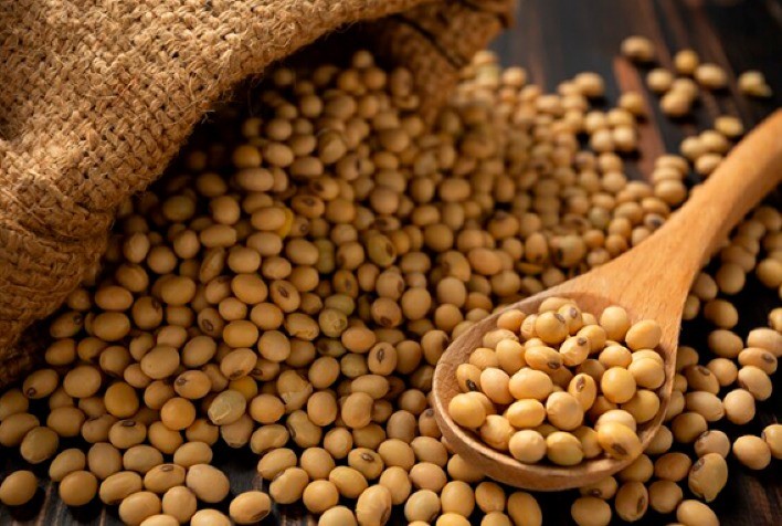 Mercado da soja se ajusta em Chicago após semana de forte volatilidade