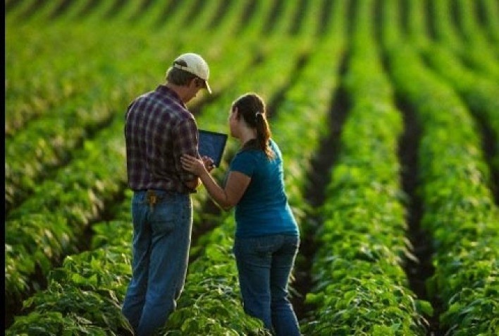 Agropecuária Gera 35,7 Mil Novos Empregos Formais em Janeiro