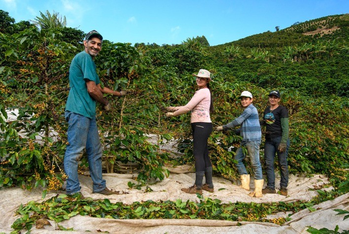 Café, Família e Superação: A Trajetória de Sucesso de uma Cafeicultora Mineira
