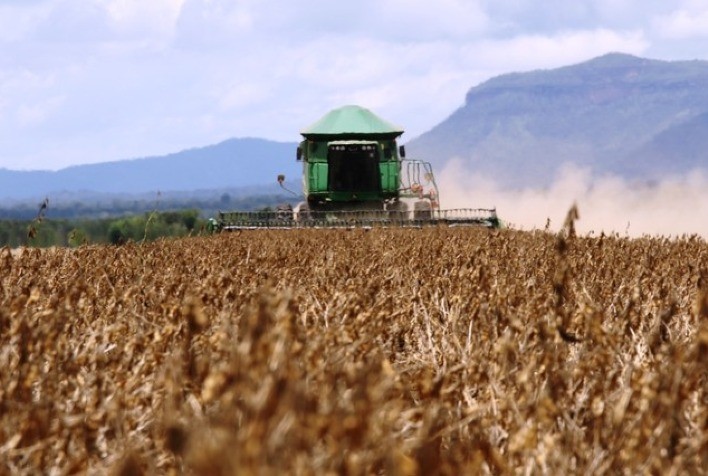 Mercado de soja aguarda novo boletim do USDA e opera com leve alta em Chicago