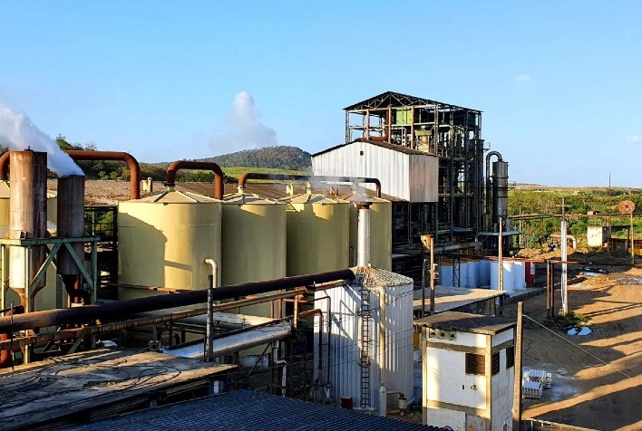 Coaf Distribui Mais de Meio Milhão de Reais em Créditos de Descarbonização a Fornecedores de Cana