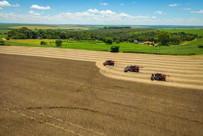 Emissões de Carbono na Agricultura Brasileira Estimadas em 11,54 Dólares por Tonelada