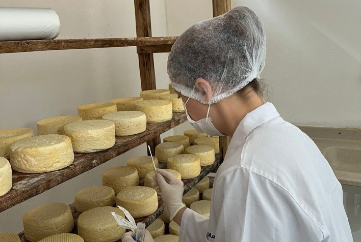 Estudo Inédito Vai Desvendar o "DNA" do Queijo Minas Artesanal do Serro