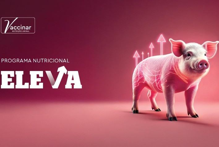 Vaccinar Lança Programa Nutricional Eleva: Inovação e Sustentabilidade para Impulsionar a Suinocultura