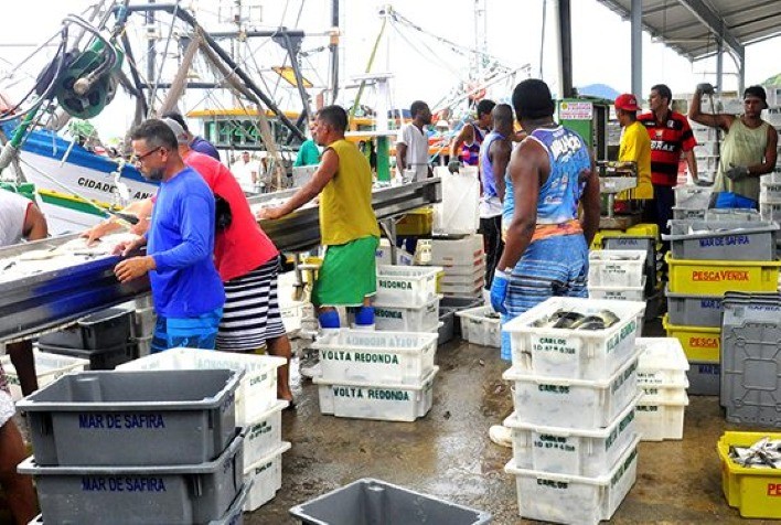 Governo Federal e os Impactos da Zeração da Alíquota de Importação da Sardinha em Conserva