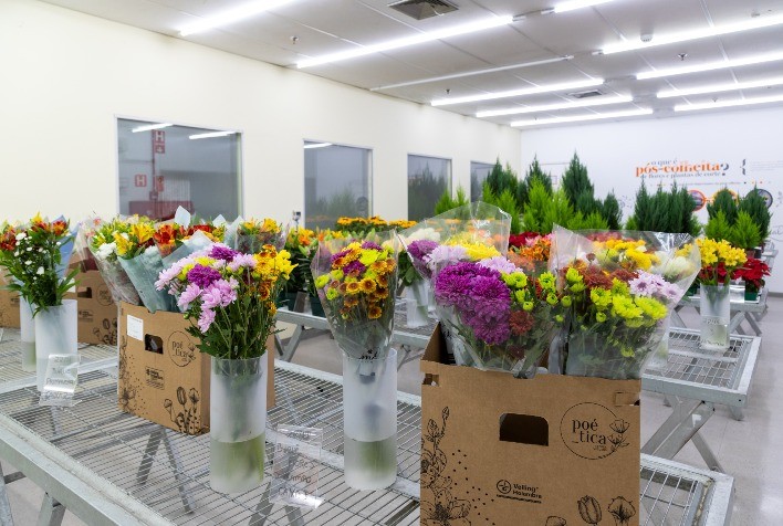 Qualidade impulsiona vendas antecipadas de flores e plantas para o Dia das Mães e dos Namorados