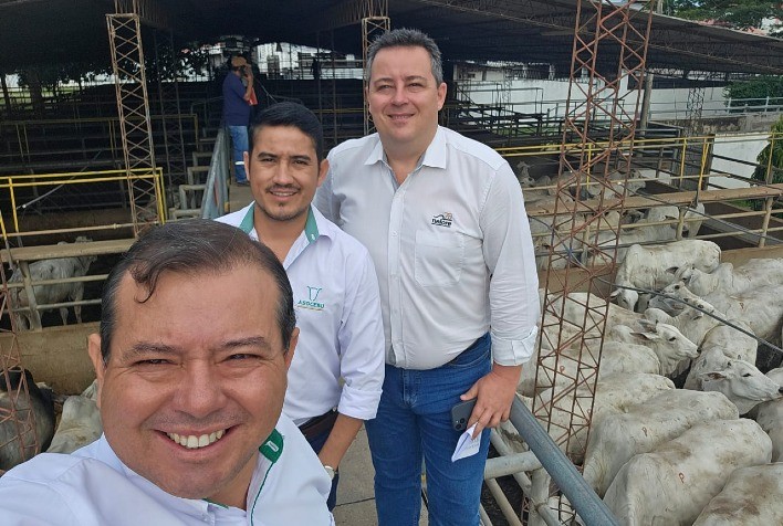 Resultados da Primeira Etapa Internacional do Circuito Nelore de Qualidade 2025, Realizada na Bolívia