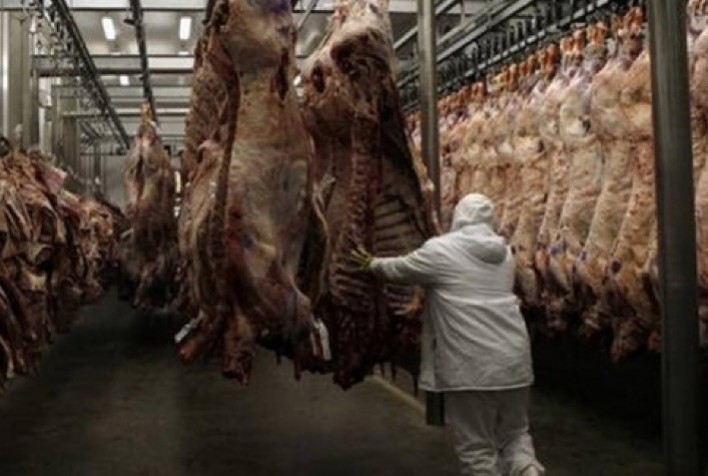 Exportação de carne bovina cresce 76,6% na segunda semana de março