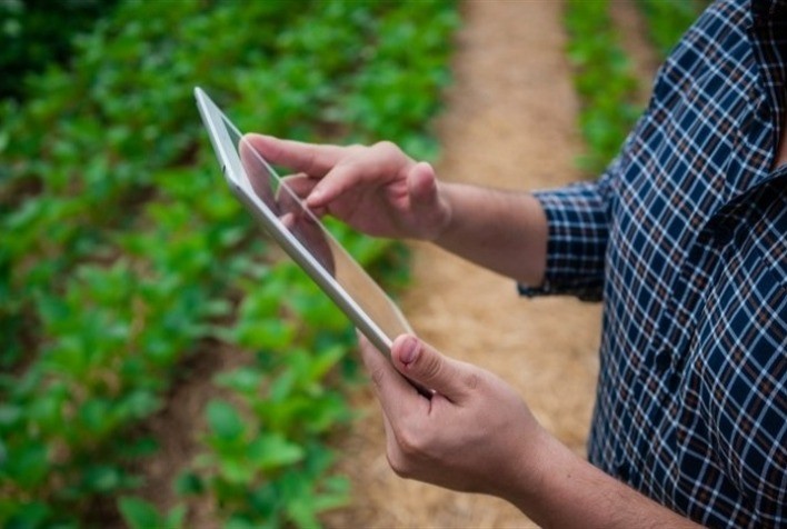 Produtores rurais devem se atentar ao prazo para entrega do LCDPR