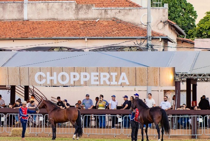 34ª Exposição Herdeiros da Raça Celebra Tradição do Mangalarga Marchador em Belo Horizonte