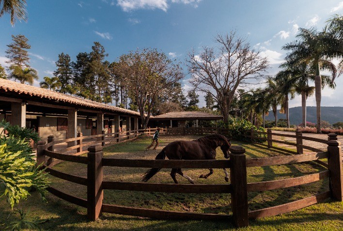 Crescimento dos condomínios equestres no mercado imobiliário