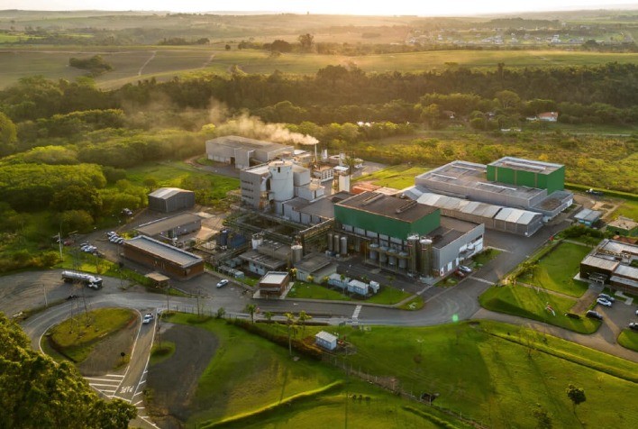 Lallemand Biofuels projeta crescimento significativo no Brasil com foco em biotecnologia do etanol