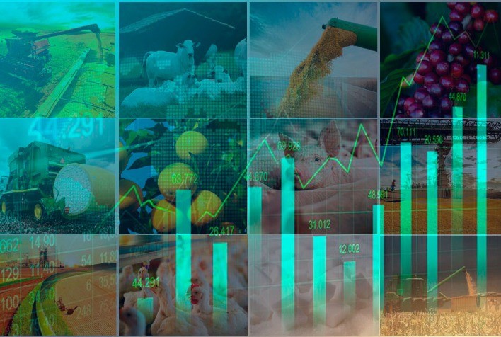 O Agronegócio Brasileiro: Pilar Econômico e Potencial Global