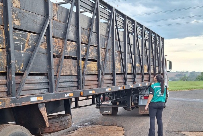 Minas Gerais Implementa Consulta Online para Verificação de Guias de Trânsito Animal, Reforçando a Segurança Agropecuária