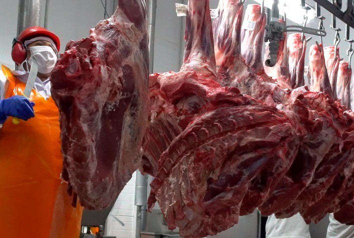 Exportação de Carne Brasileira em 2025: Desafios e Oportunidades para Manter a Liderança Global