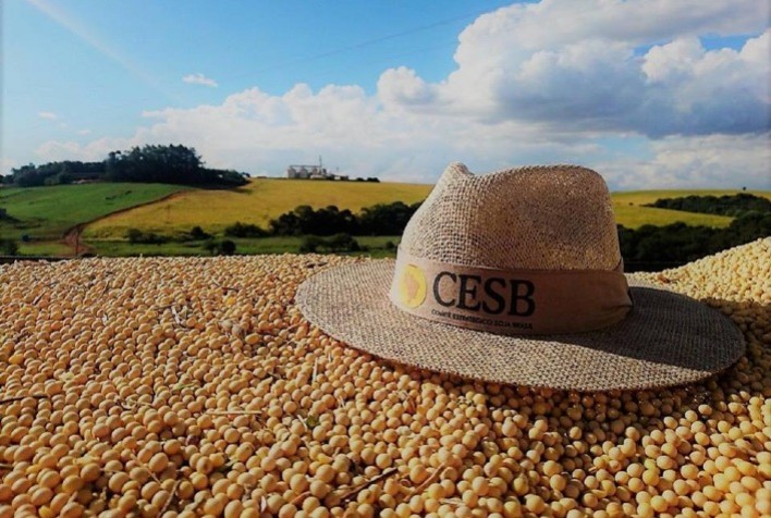 Novo Desafio de Máxima Produtividade de Soja 2024/25: Sojicultores Visam Superar 100 Sacas por Hectare