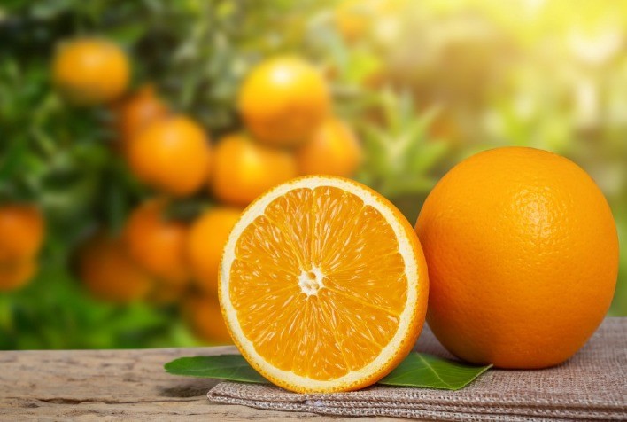 Preços da Laranja Sofrem Pressão no Brasil e no Mercado Internacional