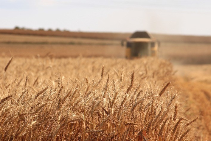 Safras de inverno da União Europeia apresentam perspectivas positivas, mas falta de chuvas no leste ameaça o rendimento