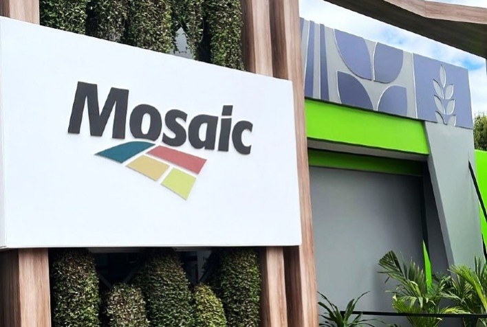 Nutrição Foliar: Estratégia Essencial para Potencializar a Produção de Milho