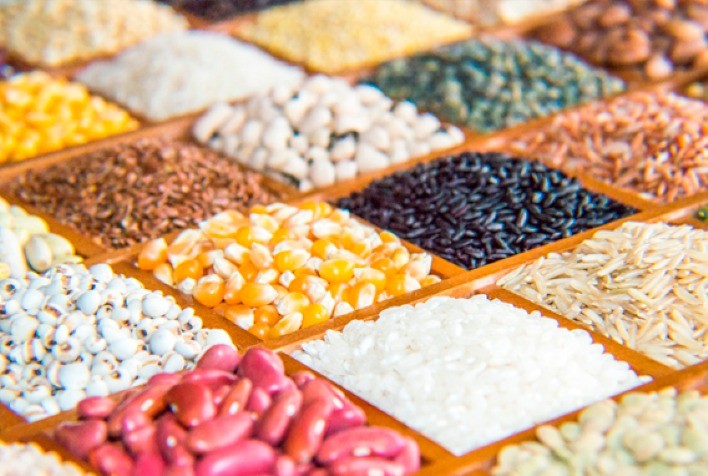 USDA divulgará previsões de março com possíveis surpresas para analistas de grãos