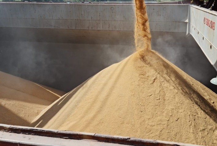 Federarroz Confirma Exportação de Arroz a R$ 82 a Saca no Porto de Rio Grande