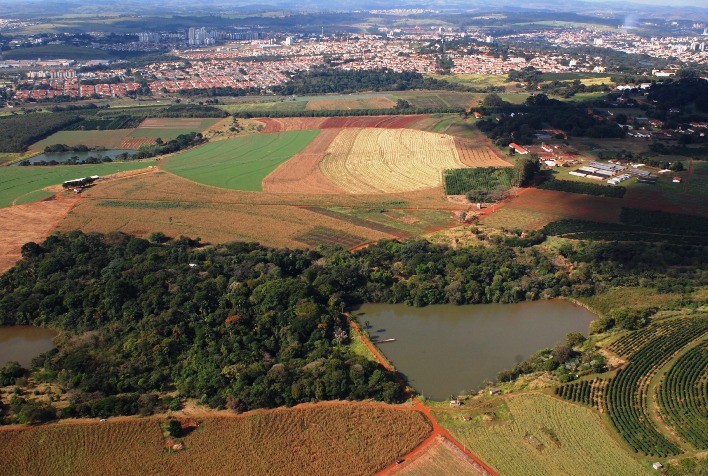 Iphan Considera Tombamento da Fazenda Santa Elisa em Debate sobre Patrimônio de Pesquisa Agrícola