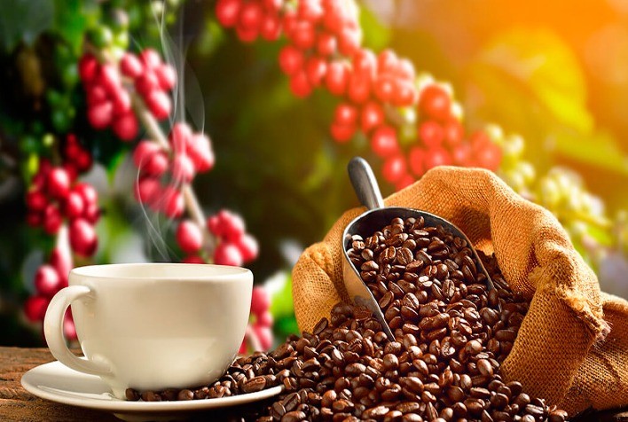 Clima Seco no Brasil Impulsiona Preços do Café na Manhã de Sexta-Feira (28)