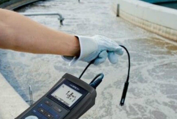 Transparência na Piscicultura: A Certificação e a Rastreabilidade como Ferramentas Estratégicas