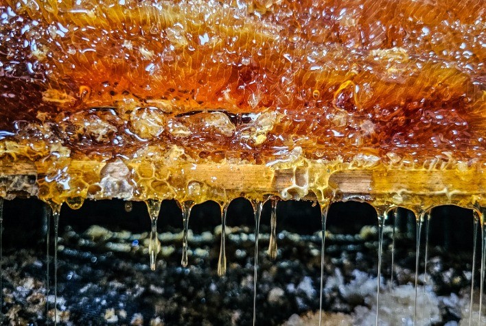 Leite, mel e ovos mineiros ganham mercado nacional