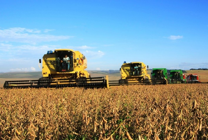 Colheita da soja avança para 82% da área cultivada no Brasil