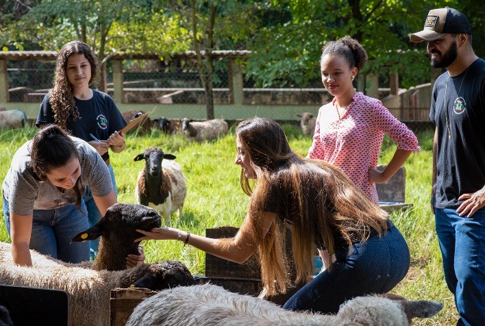 Pesquisa mapeia perfil do consumidor de carne ovina e aponta potencial de crescimento no Brasil